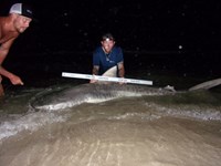 Beach Bandits - Cody Redman