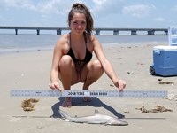 Texas Shark Research Team - Rhiannon Lynch