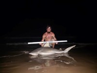 Shark at the Moon - Robert  Benoit