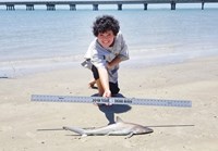 Texas Shark Research Team - Ayden Johnson