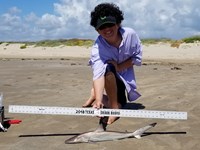 Texas Shark Research Team - Ayden Johnson