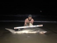 Fat Fish Only - Randall Dunn