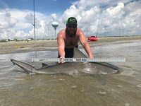 Fat Fish Only - Randall Dunn
