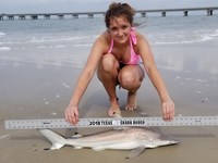 Texas Shark Research Team - Rhiannon Lynch