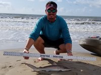Texas Shark Research Team - Robert Grimsley