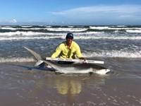 Shark Tribe - Tim Merchant