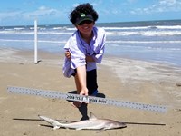 Texas Shark Research Team - Ayden Johnson