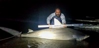 Fishing  Locos  - Jesse Garza