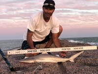 Shark Tribe - Jimmy Limon