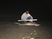 Shark at the Moon - Robert  Benoit