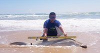 Fishing  Locos  - Jose Zavala