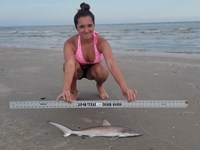 Texas Shark Research Team - Rhiannon Lynch