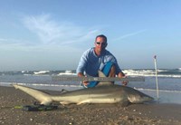 Shark Tribe - Tim Merchant