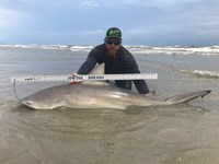 Fat Fish Only - Randall Dunn