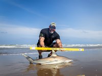Fishing  Locos  - Mark Cano