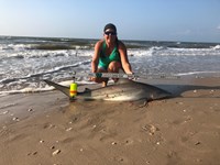 Team JackWagon - Kimberly Collier