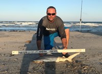 Shark Tribe - Tim Merchant