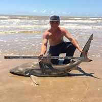 Shark landers - Josh Oneal