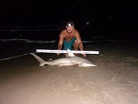 Beach Bandits - Jonathon  Johnson