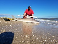 Cast Out Mafia  - Donnie  Tidwell