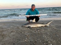 Shark at the Moon - Derik Dark