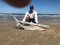 Borpus Bros - Cody Reed