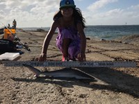 Shark Tribe - Tiffany Limon