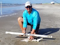 Texas Shark Research Team - Robert Grimsley