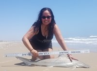 Fishing  Locos  - Cristina Garza
