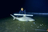 Fishing  Locos  - Jose Zavala