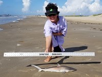 Texas Shark Research Team - Ayden Johnson