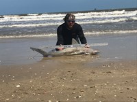 Fat Fish Only - Randall Dunn