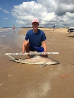 Shark landers - Cole Nagler