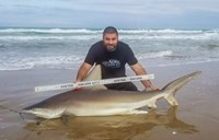 Fishing  Locos  - Jesse Garza