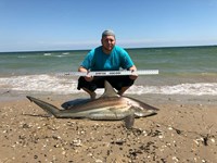 Shark at the Moon - Derik Dark