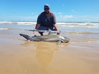 Cast Out Mafia  - Donnie  Tidwell