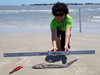 Texas Shark Research Team - Ayden Johnson