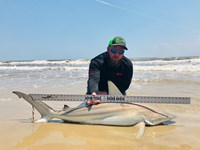 Fat Fish Only - Randall Dunn