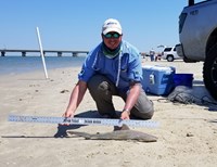 Texas Shark Research Team - Robert Grimsley