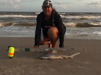 Team JackWagon - Kimberly Collier