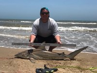 Shark Tribe - Logan Connor