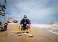Fishing  Locos  - Mark Cano