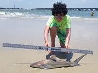 Texas Shark Research Team - Ayden Johnson