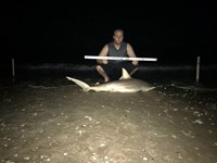 Shark at the Moon - Derik Dark