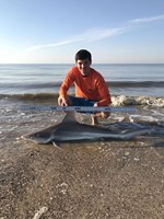 Fat Fish Only - Taylor Thomas