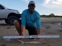Texas Shark Research Team - Robert Grimsley