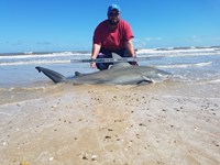 Cast Out Mafia  - Donnie  Tidwell