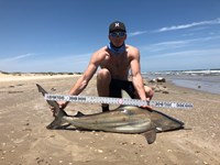 Borpus Bros - Cody Reed