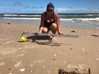 Team JackWagon - Kimberly Collier