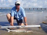 Texas Shark Research Team - Robert Grimsley